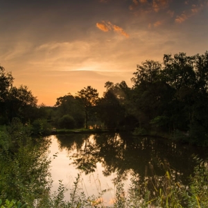 Redwell   14 September 2016   D800 (5 Of 18).jpg